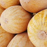 Hectarul - Seminte Pepeni galbeni ANANAS Horti Tops 2 g